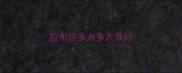 拉布拉多犬多大养好