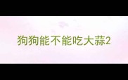 狗狗能不能吃大蒜