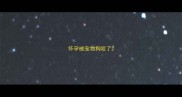 怀孕被宠物狗咬了