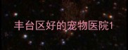 丰台区好的宠物医院