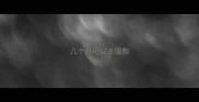 几个月可以去遛狗
