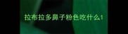 拉布拉多鼻子粉色吃什么