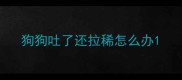 狗狗吐了还拉稀怎么办