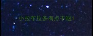 小拉布拉多有点干呕