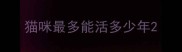 猫咪最多能活多少年