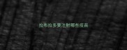拉布拉多要注射哪些疫苗