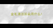 金毛清洁耳朵用什么