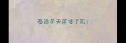泰迪冬天盖被子吗