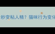 疫苗后秒变粘人精猫咪行为变化全攻略