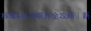 2月龄哈士奇体重标准科学喂养全攻略新手家长必看干货
