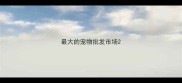 最大的宠物批发市场