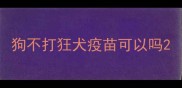 狗不打狂犬疫苗可以吗