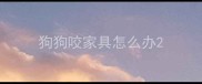 狗狗咬家具怎么办