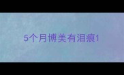 5个月博美有泪痕