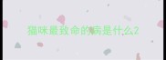 猫咪最致命的病是什么