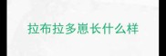 拉布拉多崽长什么样