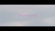 深圳拉布拉多犬家庭