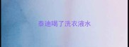 泰迪喝了洗衣液水
