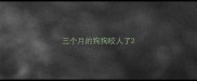 三个月的狗狗咬人了