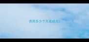 贵宾多少个月是成犬