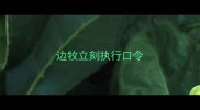 边牧立刻执行口令