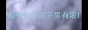 拉布拉多爪子里有浓