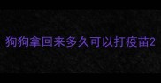 狗狗拿回来多久可以打疫苗