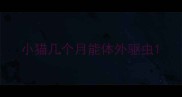 小猫几个月能体外驱虫