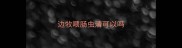 边牧喂肠虫清可以吗