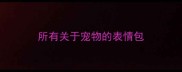 所有关于宠物的表情包