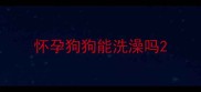 怀孕狗狗能洗澡吗