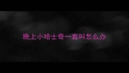 晚上小哈士奇一直叫怎么办