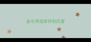 金毛得湿疹特别厉害