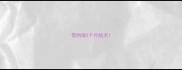 雪纳瑞2个月幼犬