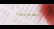 猫咪尿出褐色液体