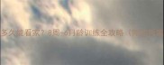 幼犬多久能看家8周-6月龄训练全攻略附防拆家指南