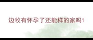 边牧有怀孕了还能样的家吗