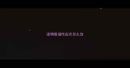 宠物脂溢性皮炎怎么治