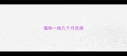 猫咪一般几个月洗澡