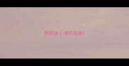 狗狗身上溃烂结痂
