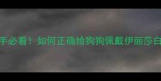 伊丽莎白圈使用全攻略新手必看如何正确给狗狗佩戴伊丽莎白圈附选品指南避坑提醒