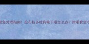 紧急处理指南拉布拉多吐狗粮干呕怎么办附喂食全攻略