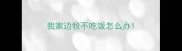 我家边牧不吃饭怎么办