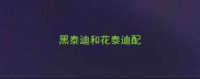 黑泰迪和花泰迪配