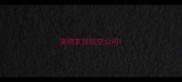 宠物友好航空公司