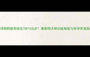全球狗狗智商排名TOP10出炉最聪明犬种训练难度与科学养宠指南
