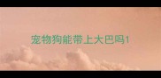 宠物狗能带上大巴吗