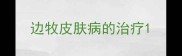 边牧皮肤病的治疗