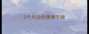 2个月边牧便便干燥