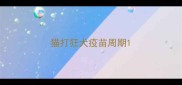 猫打狂犬疫苗周期